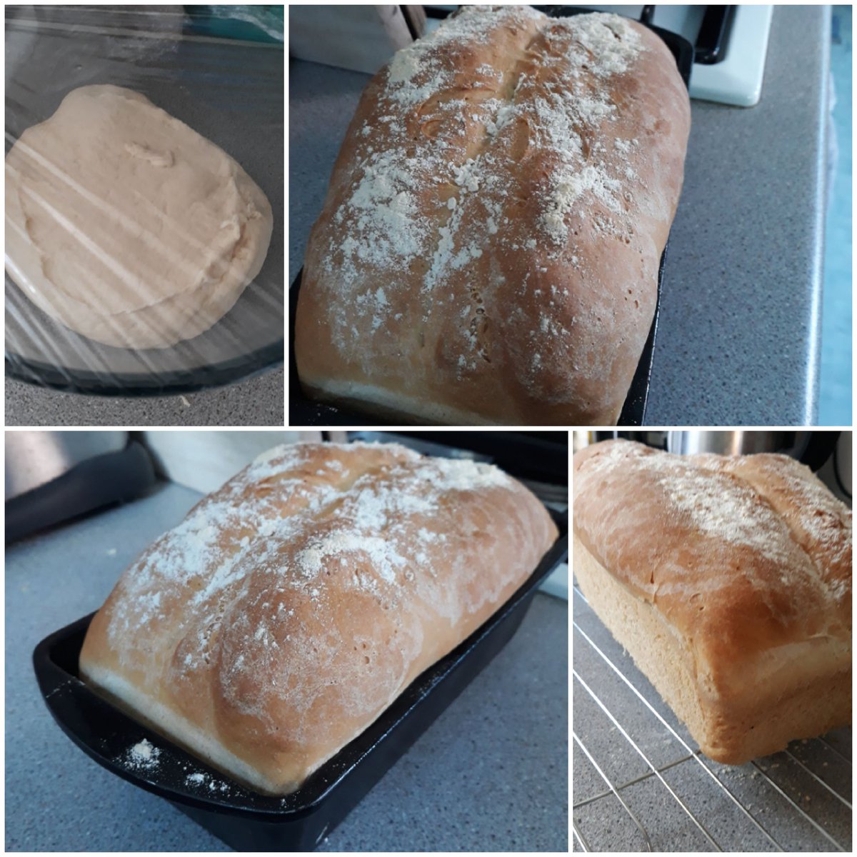 HELLSBELLS_DFYB's tweet photo. Still in surprise at the new me. πΆπ² #lockdownbaker #freshbread #homemadebread https://t.co/3L8uGtVt2A