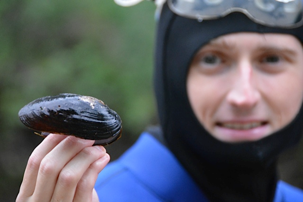 SFUBioSci's tweet image. Steven Brownlee (@sfbrownlee) is a gay freshwater ecologist! I’m modeling the invasion of dreissenid mussels in BC, working in the Côté and Moore labs. I can usually be found hunched in front of a laptop, pretending that looking at lakes from space still counts as fieldwork!
