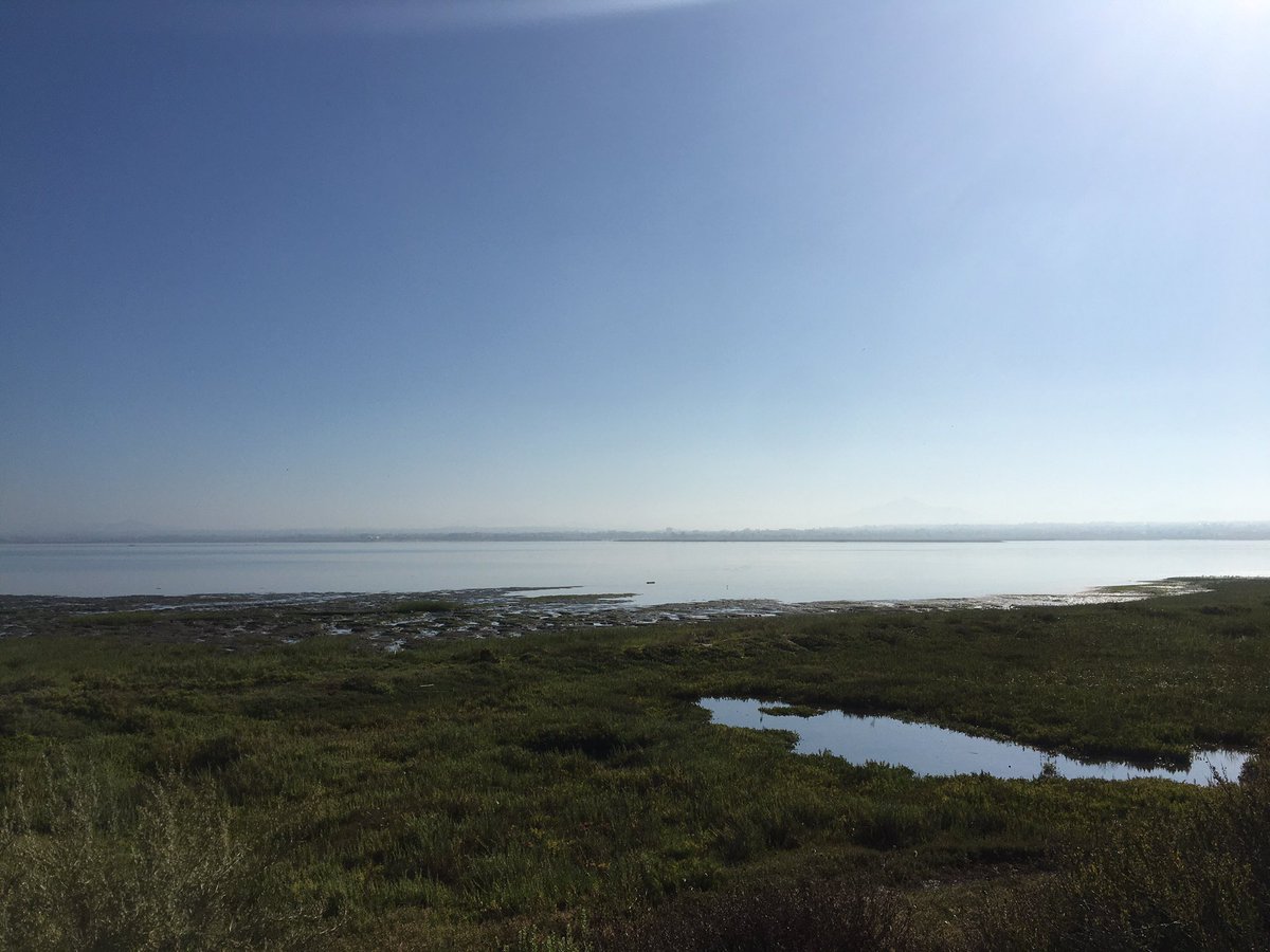 katymcc's tweet photo. Back to running and even on a hot day it sure feels nice to get out there in the morning. Thanks to the #GVRAT1000k and my weirdo pals for keeping me motivated! #viewfromarun https://t.co/MbTXjMbJ6C