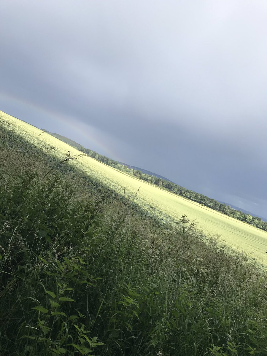JamiesonFj's tweet photo. Not such a great run for me today but lovely view at the finish line #edinburgh #running #FranDailyPhoto no.357 https://t.co/xfwISqroBq