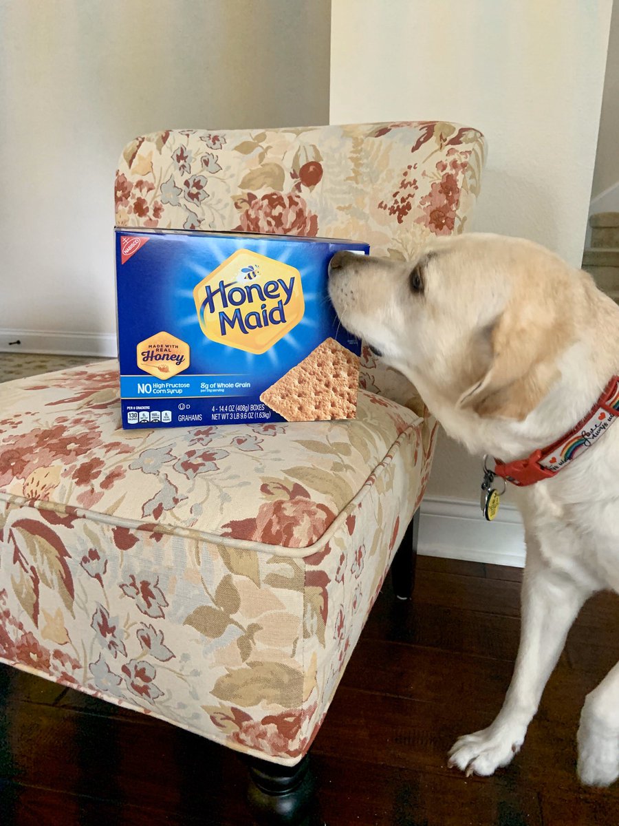 I think this is all for me. A girl can be hopeful! Happy #nationalgrahamcrackerday