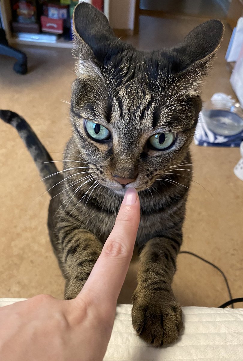 귀가 어디까지 날아가는 거야