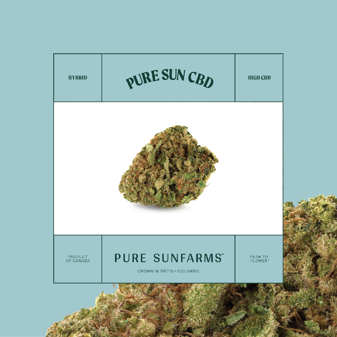 FarmCannabis's tweet photo. Pure Sun CBD (Cannatonic) by @puresunfarms is a CBD-dominant hybrid strain bred from Reina Madre and NYCD and features a floral flavour with sweet and spicy aromas.

https://t.co/d1clvvxNKd

#TheOriginalFARM #YYJ #YYJcannabis #PureSunfarms https://t.co/8vsPjtBFs8