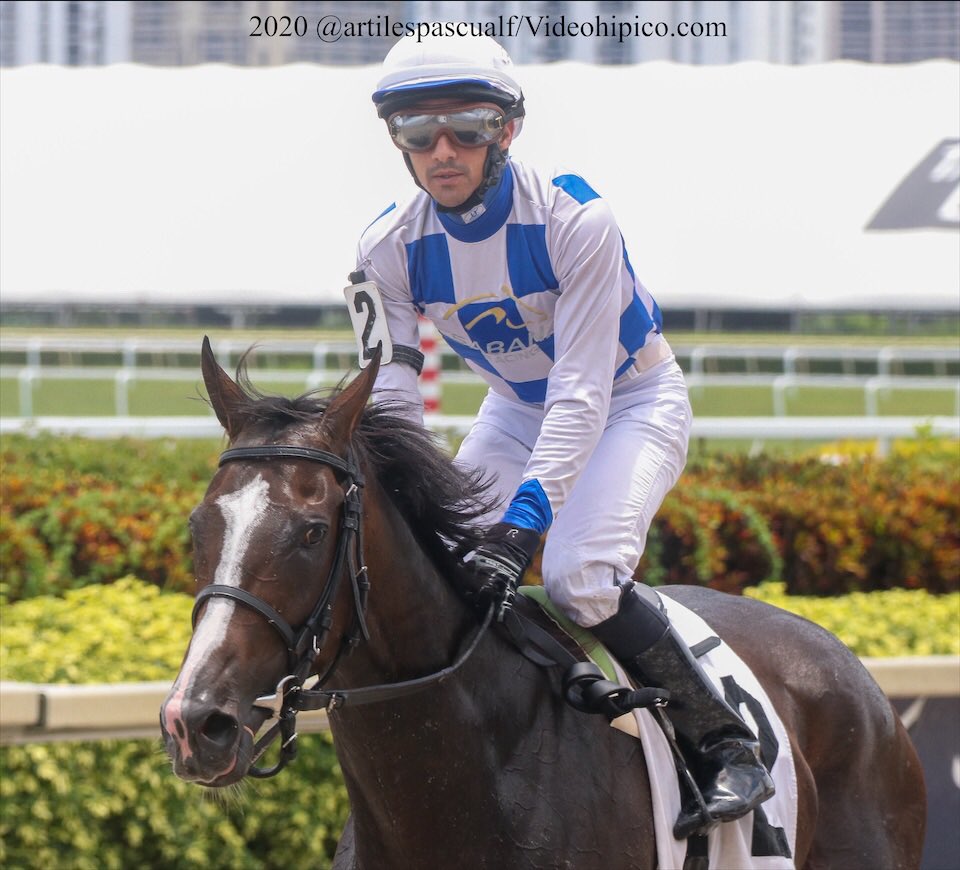 JCAvila63's tweet photo. #5Jul Stormy Boss, obtuvo su 3er triunfo, con la monta de @LeojockeyReyes en la 3era carrera del domingo en #GulfstreamPark para el trainer Juan Carlos Avila.
Felicitaciones a su propietario @StudSabana 10ma victoria #SummerMeet #SpringMeet 2da de la semana.
📸 @artilespascualf https://t.co/IV6Dr4HnMm