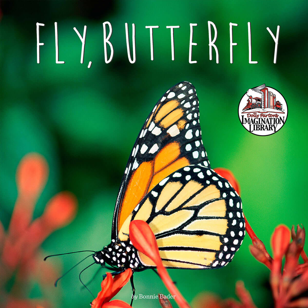 dollyslibrary's tweet photo. Follow a beautiful butterfly as she makes her journey down to Mexico for the winter in "Fly, Butterfly"! #DollysLibrary #ReadMore https://t.co/pdULtpQpWg