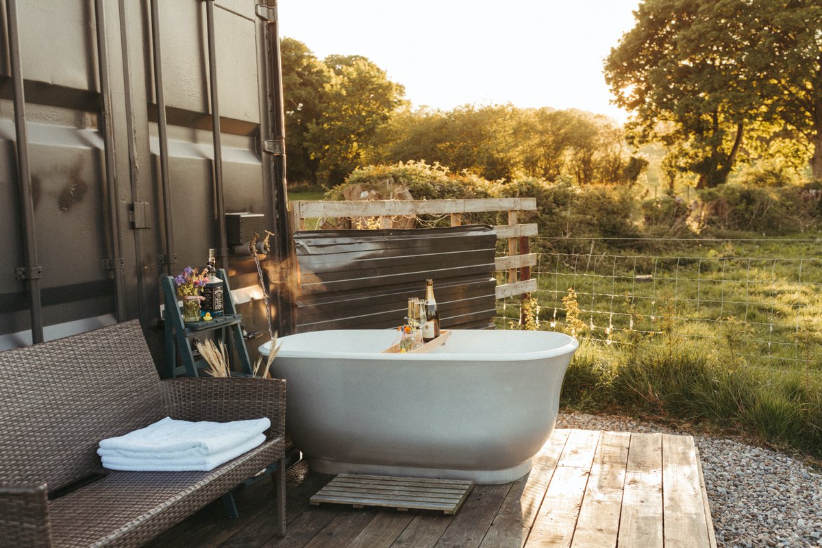 Aster and Fern tweet media