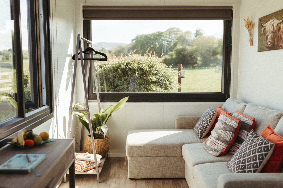 Aster and Fern tweet media