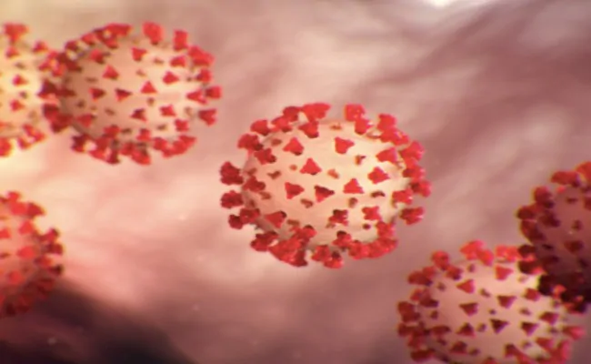 ndtv's tweet photo. #Coronavirus is airborne, say scientists, ask WHO to revise rules: report https://t.co/LvQpO5jRRF https://t.co/ZFDfKE5dcA