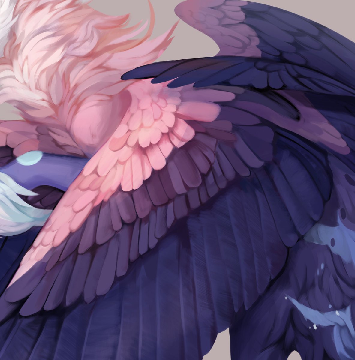 kavlri's tweet photo. Sky in your wings

#commission #digitalart #fantasy #ArtistOnTwitter https://t.co/IQJ38NzUFM