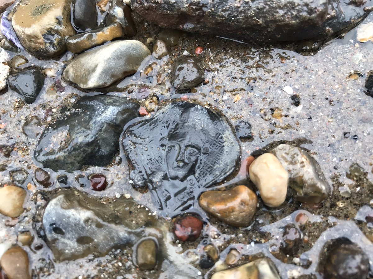 LondonMudlark's tweet image. Friday evening, on a very quiet, dark and sultry foreshore, the river finally gave me what I've been waiting 15 years for... a medieval pewter pilgrim badge. Thomas a Becket, c.14th century and the only hand that's touched it in almost 700 years is mine

#Mudlarking #Mudlark