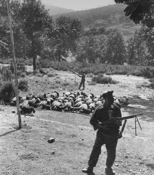 إِنَّ الشهامةَ وعِزةَ النفسِ والشموخُ وِراثةُُ تتبعها بعضُ المواقفِ والتضحيات وليس تَزلفًا وَمُداهنات ..هذه الارضُ أرضُنا وهؤلاء اجدادنا هذا تاريخنا  وها نحنُ أبناءُ البلد على العهدِ باقون وبالوعدِ متمسكون لانبيعُ الذمم ..أدامَ اللهُ عِزنا وَرحِمَ اللهُ شُهدائنا   
#هُناالجزائِرْ