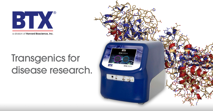 BTX_HAI's tweet photo. Researchers have created a new large mammal model for Hemophilia B. This can be used for both pharmaceutical and gene therapy development. Read the paper here: https://t.co/yHQM7NFTEG 

#genetherapy #drugdiscovery #hemophilia https://t.co/4cLtyWcrb9
