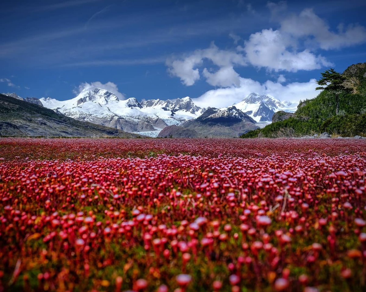 MagallanesExpe1's tweet photo. Desde Tierra del Fuego con vista a la Cordillera Darwin por parte de Alex Maureira (alexmaureiraphoto). #MagallanesExperience https://t.co/YD3ZdL1rQy