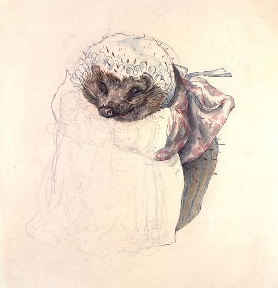 womensart1's tweet photo. Sketches for Mrs. Tiggy-Winkle, 1905 by Beatrix Potter #womensart https://t.co/X0JrrPBwH5