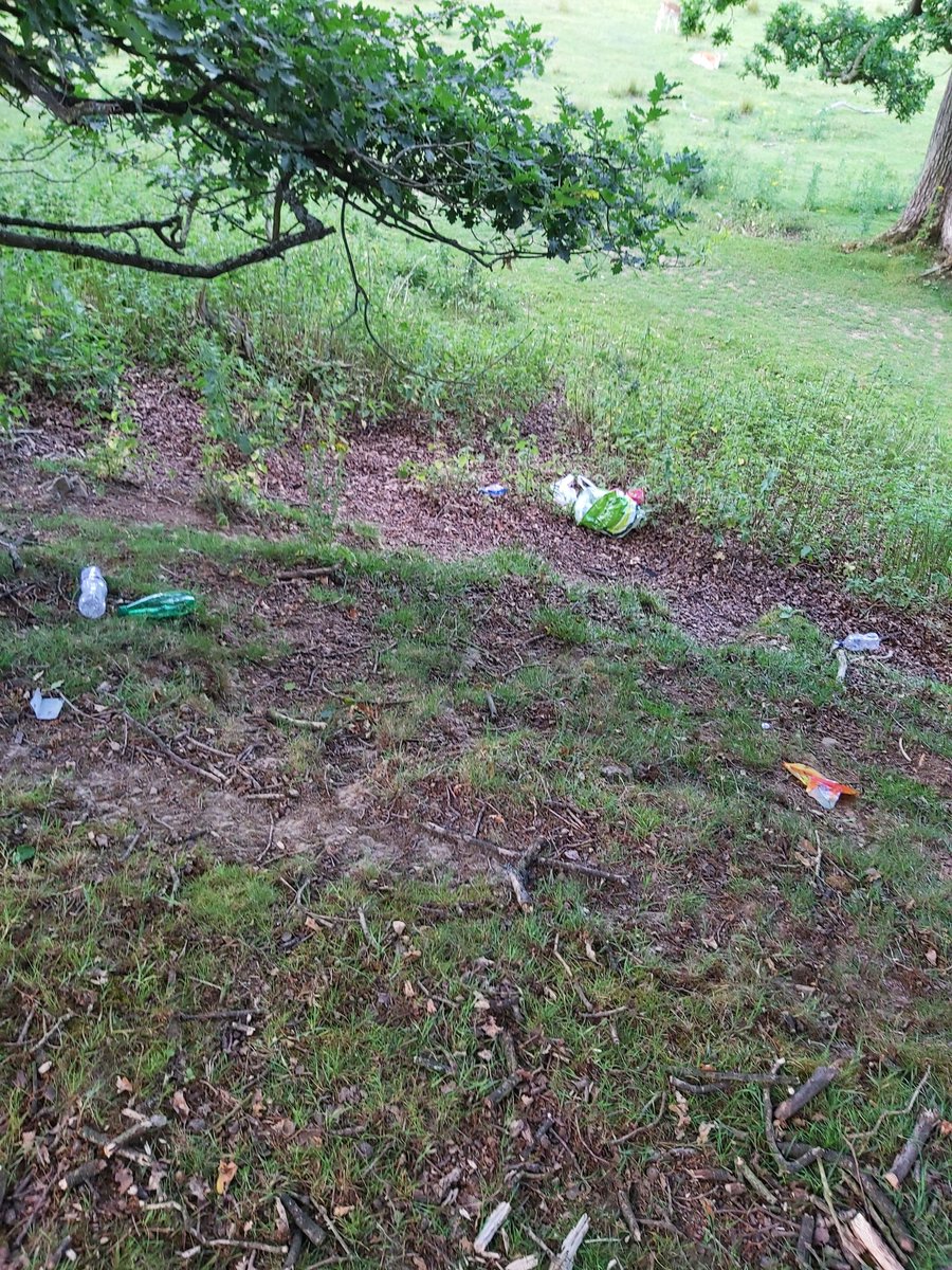 PCSOs Sue and Chloe were on foot patrol in Knole park earlier and were very disappointed to see the amount of litter left in the park, it is a beautiful park so please respect it and take your litter home. SH