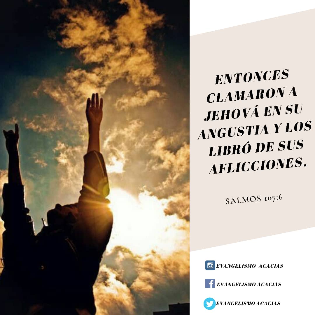 las_acacias's tweet photo. En nuestro andar por la vida pasamos por muchas situaciones, estos tiempos son difíciles, pero tenemos un #Dios que todo lo puede y siempre está de nuestro lado para ayudarnos.
¿Sabes a quién clamar en tus momentos de angustia? 
Solo Jehová nos libra de las aflicciones ¡Búscalo! https://t.co/TSAtzMp5Ck