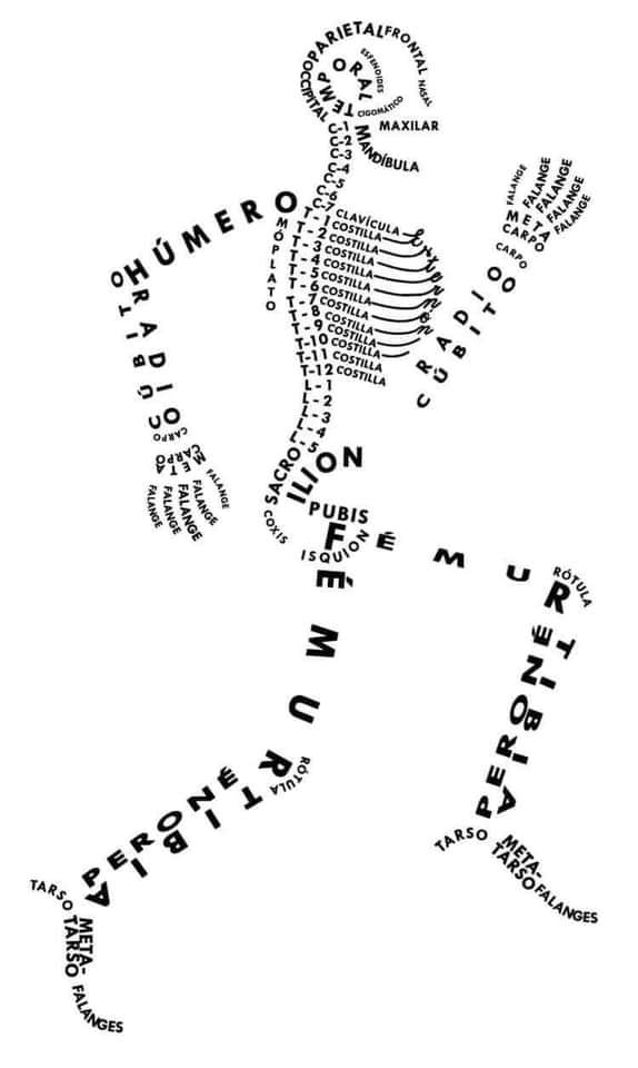 Huesos del cuerpo.
#cuerpo #cuerpohumano #huesos #bones #huesosdelcuerpo #elrincondelbienestar #zaragoza #osteopatía #zaragozamasajes #deporte #FelizDomingo #futbol #Basket #Tenis #natacion #voley