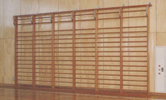 これは一体何だったのか、体育館にあったハシゴのようなアレ！