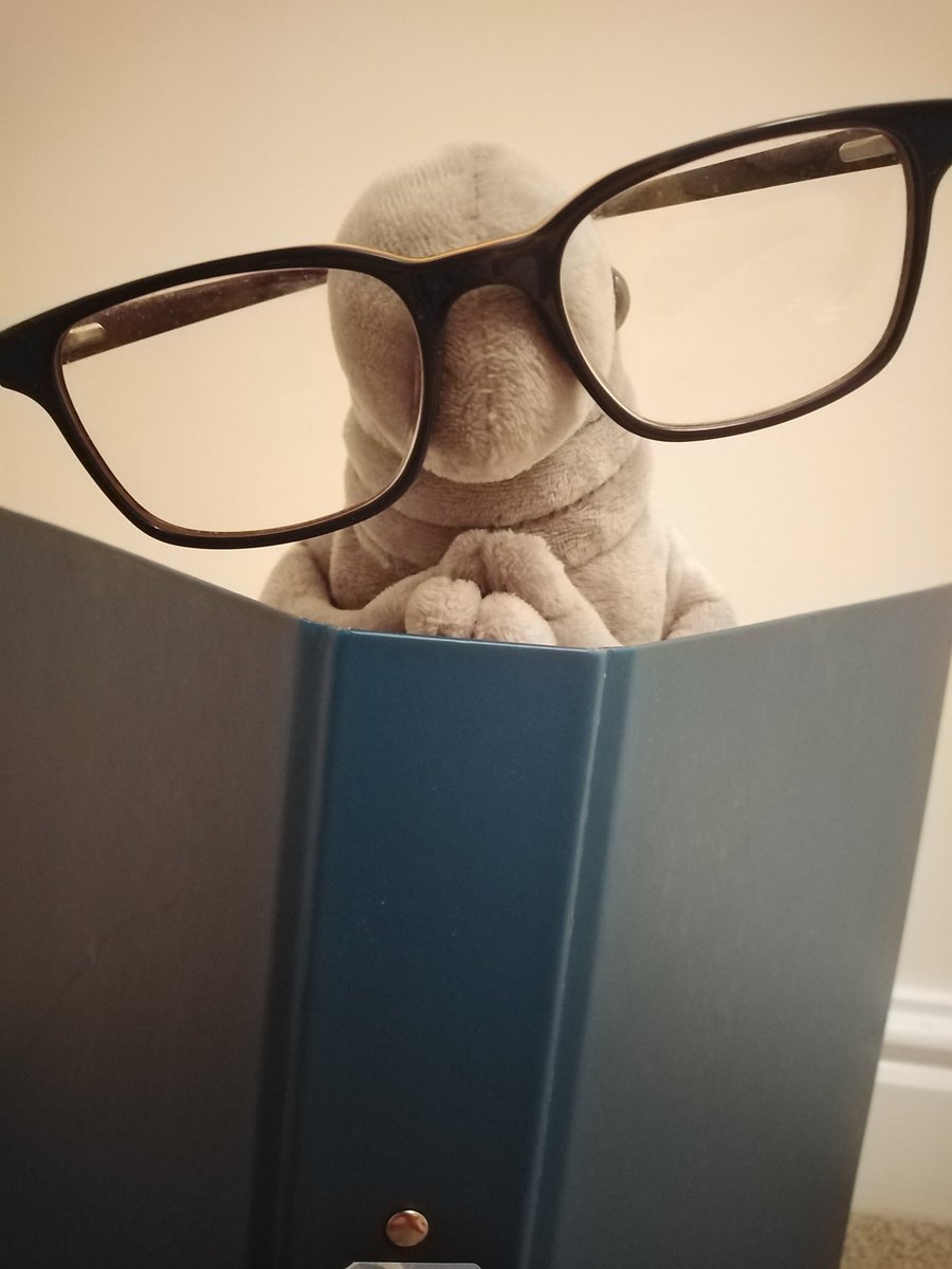 woshians's tweet photo. Wosh doesn't like working from home... 💖💖Wosh loves you though! 💖💖 https://t.co/owR2OIH9pK