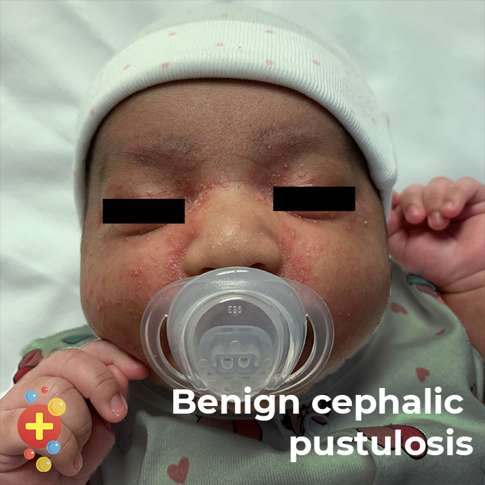 Tessa Davis tweet media