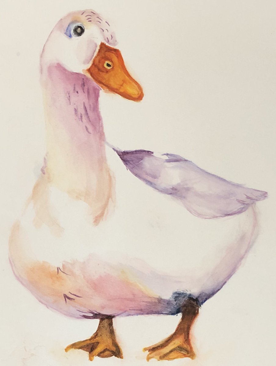 Eleanor Cusack tweet media