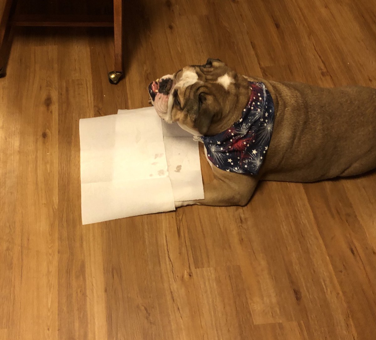 stephbump's tweet image. Hello Chef??????? Chef???? Where is my meal!!!!  #0stars