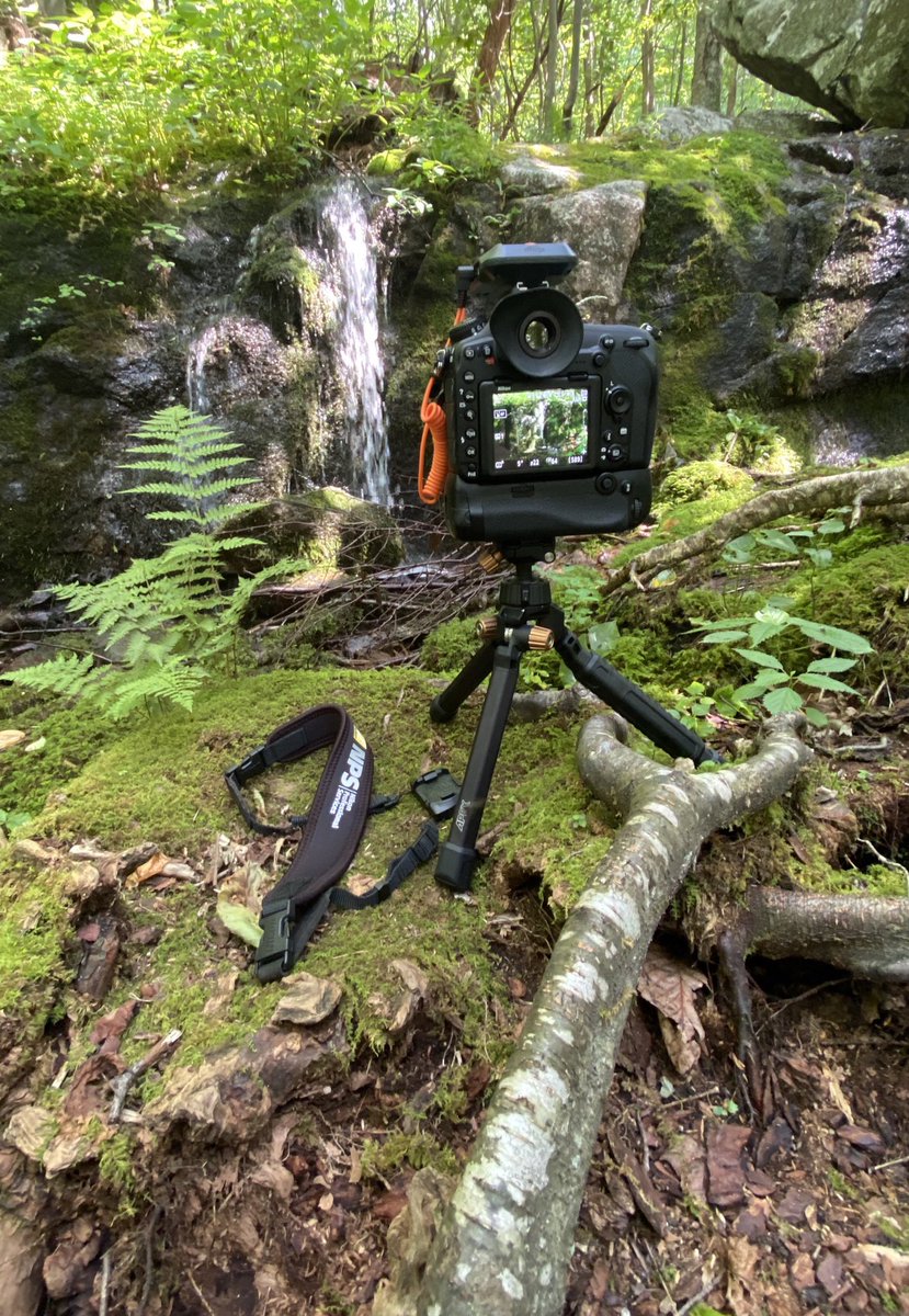 BrianAkerson's tweet photo. Just another day #waterfalling in the Blue Ridge with my @NikonUSA D850 and @MIOPSTrigger Smart+ and one of my new favorite strap and mini tripod system - the @_PolarPro QuickDraw Collection! #CapturePerfection #MIOPSTrigger #MIOPSSmart #Nikon #Nikkor #Waterfalls #Waterfall https://t.co/KPmbfjHjwS