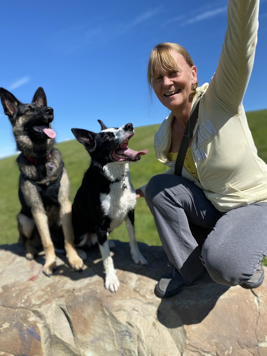 Can ya tell moms holding a ball to get us in a picture. Smart but a treat would be better. #yyc #dogsoftwitter #dog #SundayThoughts #adventure #park #sunshine #dogs #lifebalanced #workingfromhome #WorkFromHome https://t.co/MIuyJ8HlgF
