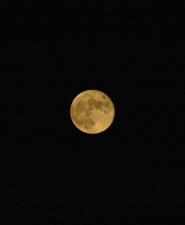 whoismikado's tweet photo. La luna de hoy me recuerda a @CruzCafune #moonlight922 https://t.co/Wux6ueQfHz
