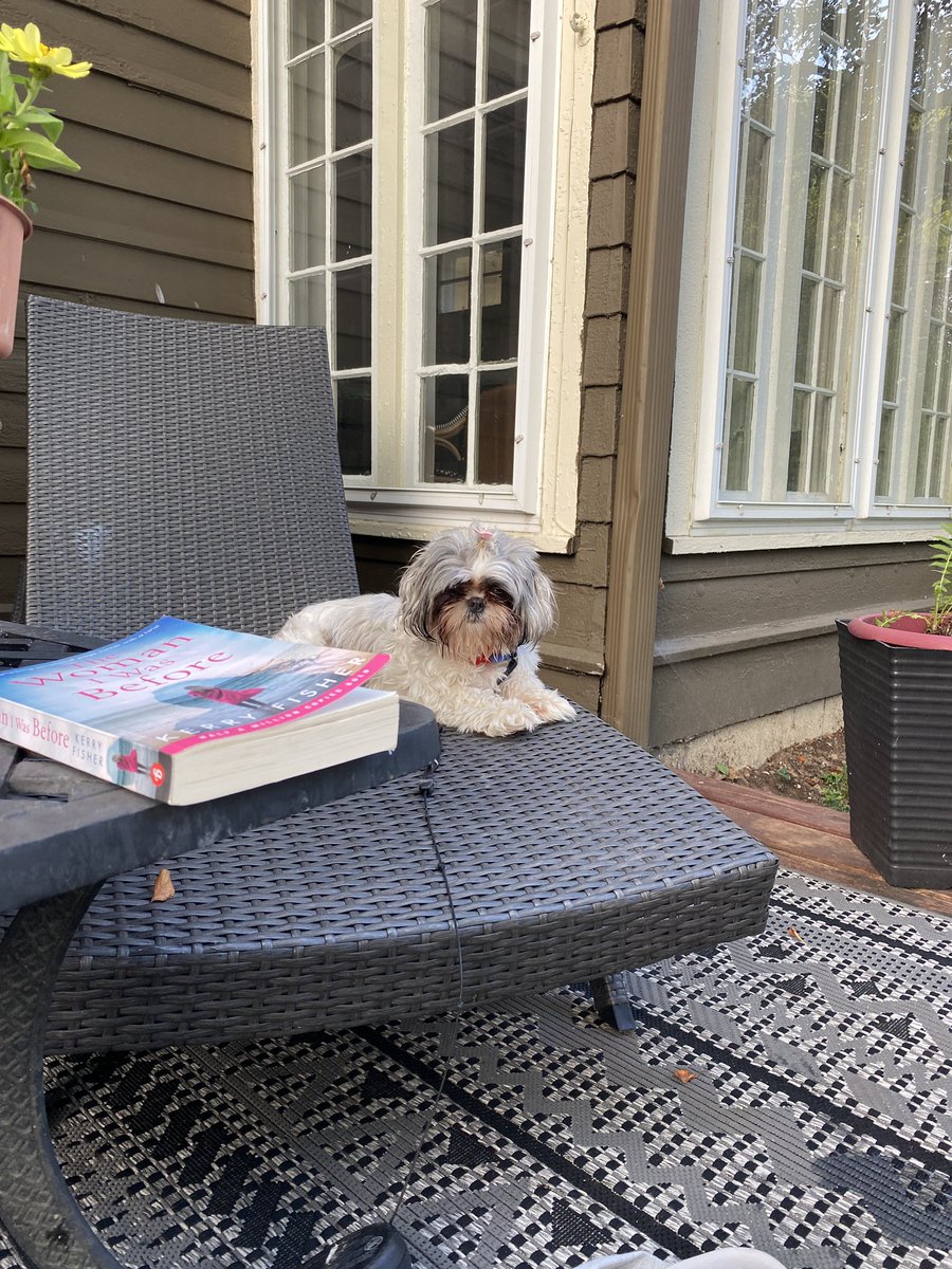 pearlthemeerkat's tweet photo. For immediate release: 

I have recovered from my hangover. https://t.co/CLwcvET1Mg
