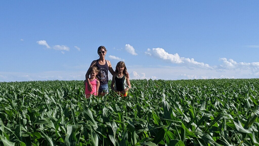 Mandanmark's tweet photo. Rea Hybrids 1B731 looking great on the 4th of July! This 73 day product has been a consistent performer on the Stone Farm near Geraldine, Montana. https://t.co/sHYvNoqEal
