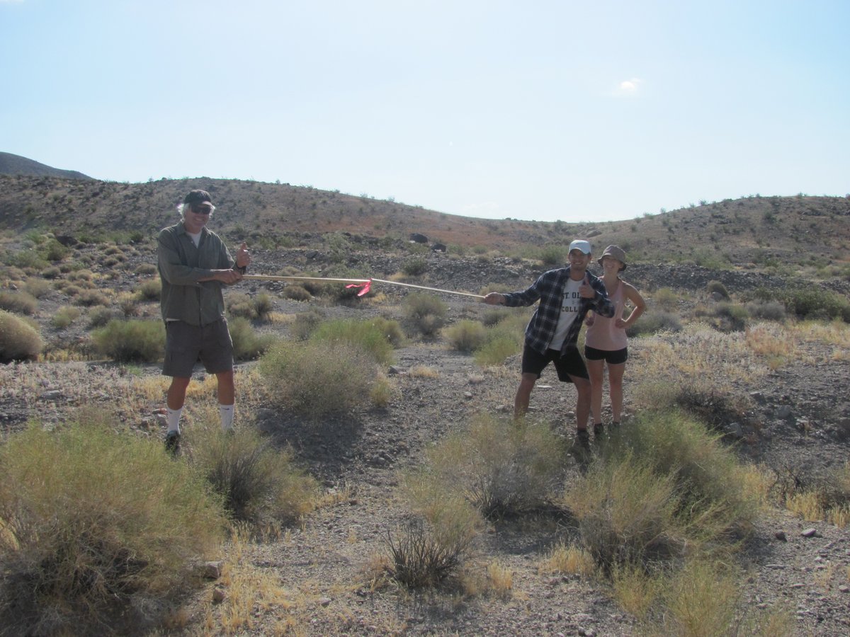 SandquistLab's tweet photo. DEPRAVED 2020 was unlike any other - delayed to June, and with a crew of but three.  Easy to distance 6 m when working in the wide-open of the Mojave. We missed you Jim @ehleringer #Encelia #covidsafe #fieldwork https://t.co/LFwj5epuHm