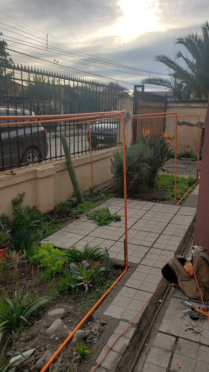 mopititita's tweet image. Proyecto #invernadero , #Compostera funcionando 🐛🐛, lechugas 🥬🥬,proyecto de #puerros.(ojalá germinen)...
Separo las latas y elimino por separado y un reciclador las recoje... 
#dejéDeTinturarme el cabello
#VidaAutosustentable 
Disminuir mi  #HuellaDeCarbono 🌎❤💜🙌🏾🤗