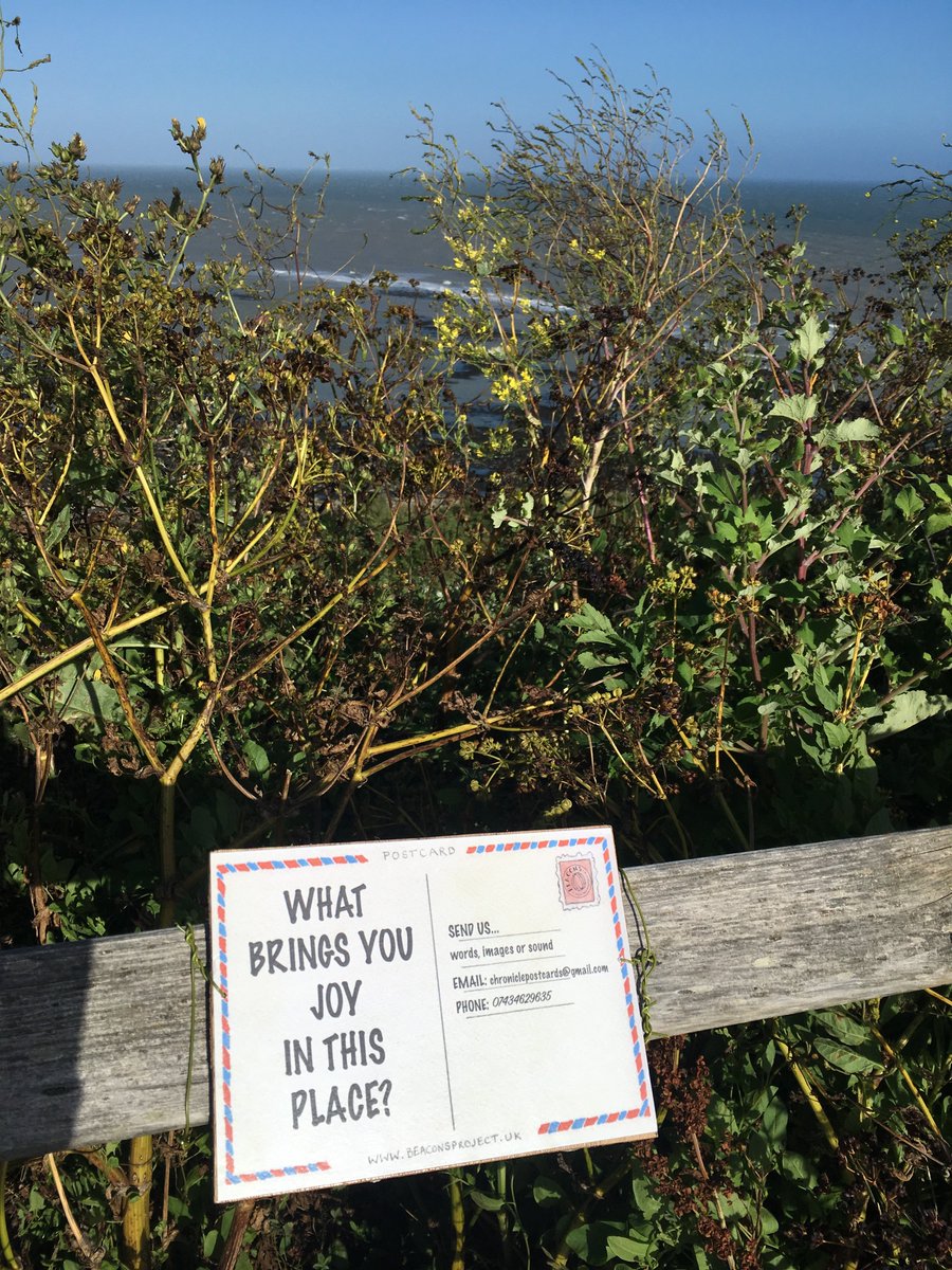 Today we hid some postcards around Folkestone - we're looking for answers to some very important questions. Can you find them all? No map this time... you just have to keep your eyes open!