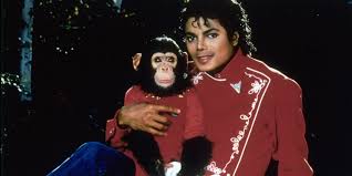 81 - Bubbles, el mono de Kaio del Norte, fue creado en honor a la mascota de Michael Jackson.