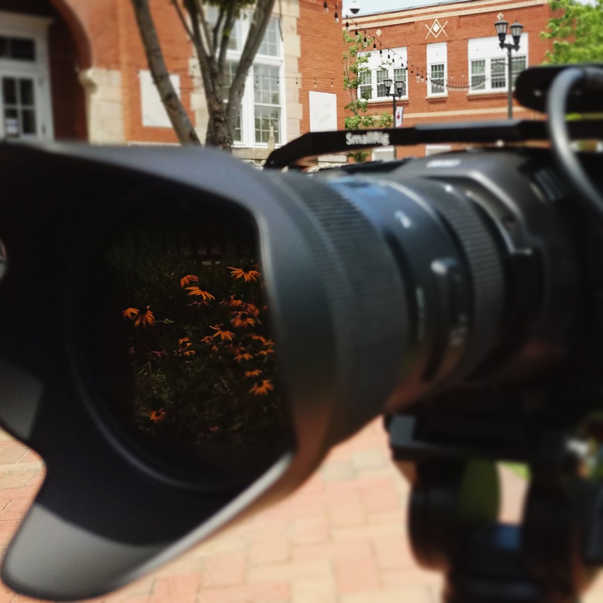 ExeterCreative's tweet photo. Out and about today with our new gear in @CityofDallasGA #bmpcc6k https://t.co/zQgt8lUDZA