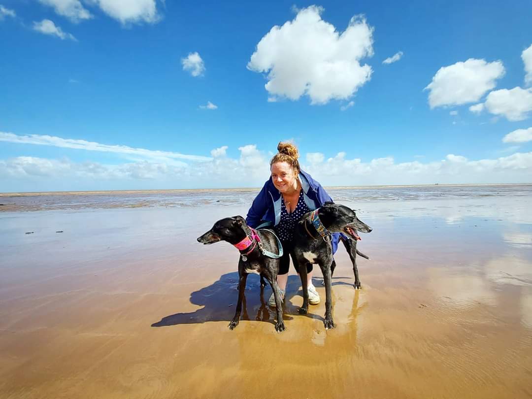 FryattJen's tweet photo. Trip to the beach with the hounds #greyhounds #beach #minehead #canneverlookatthecamera https://t.co/m6WKNkgZDn