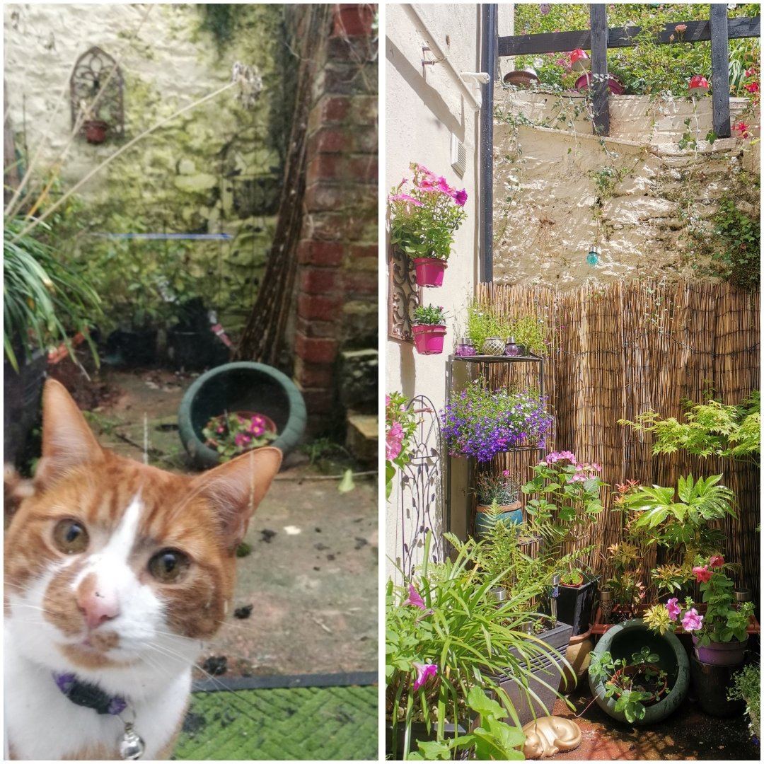 FiBeau's tweet photo. Lockdown transformations so far... 🙂
#WorksInProgess
#PositiveVibes
#WeightLoss #GreenFingers https://t.co/2Jn4MADSnf