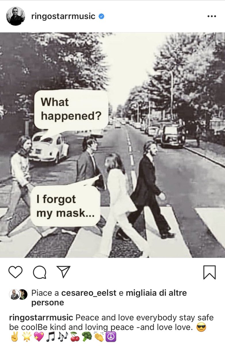 alfcolella's tweet photo. Ringo, I love you. https://t.co/AbwAsPY2F9