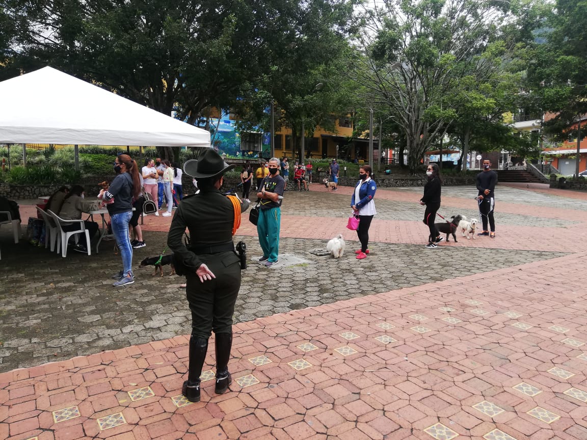 VocacinPolicia1's tweet image. El grupo de Carabineros y Guías Caninos #Meval, hizo parte de la jornada de vacunacion y esterilización en el municipio de #barbosa, entregando concentrado para nuestros #perritos 🐕🦮🐶 en compañía de la @personeriamed de Medellín y @GobAntioquia #Siser