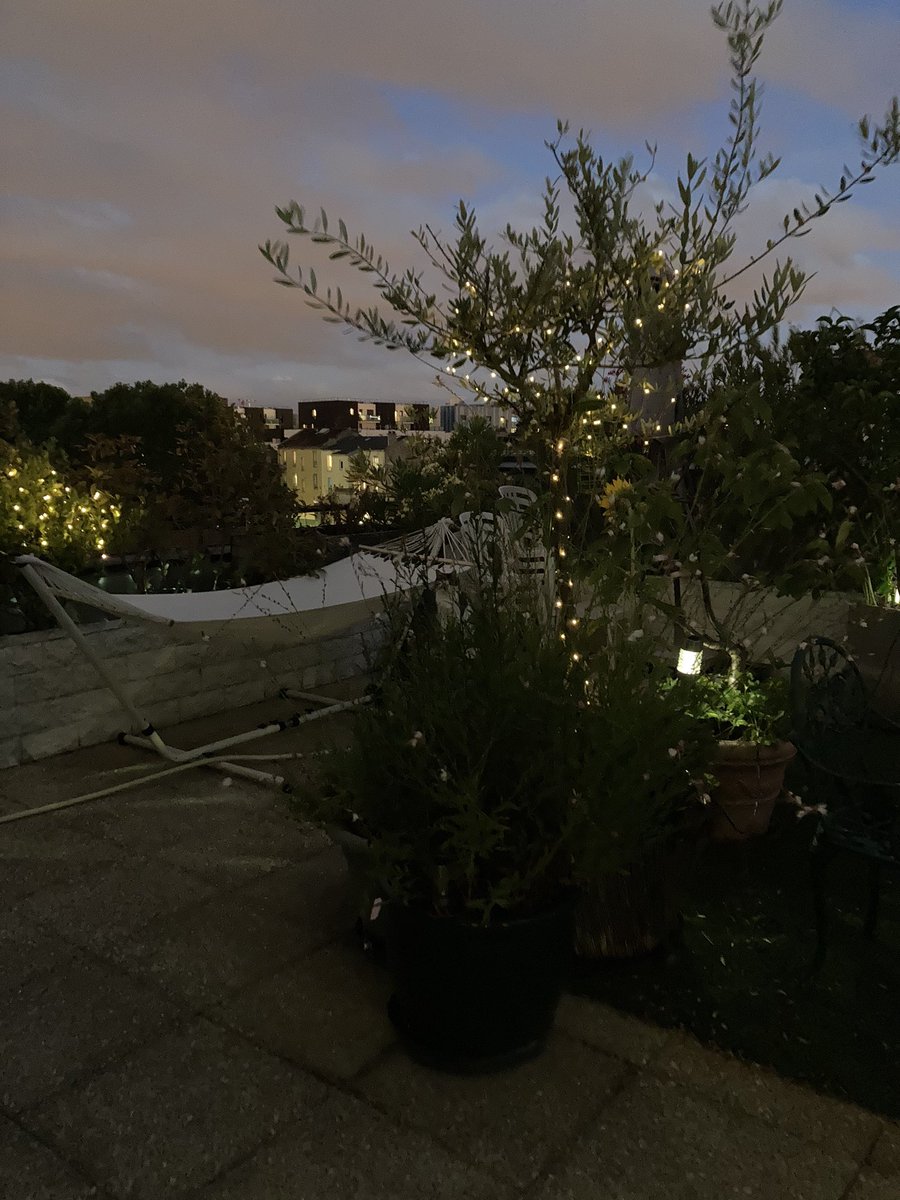 GastonChaChat's tweet image. Chuis #chatcaché!