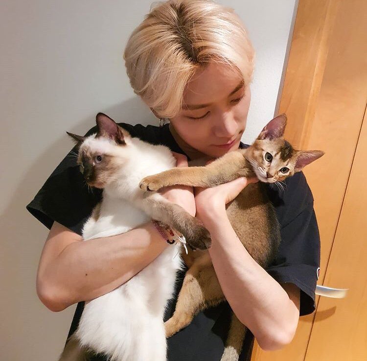 a cute thread of nct + wayv with pets, in case you’re having a bad day