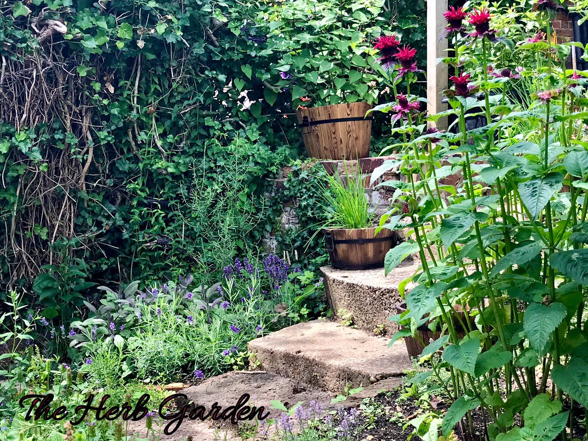 WhiteHartLiz's tweet image. Main herbs to note: lavender, rosemary, sage &amp;amp; bergamot #herblore #herbwitch