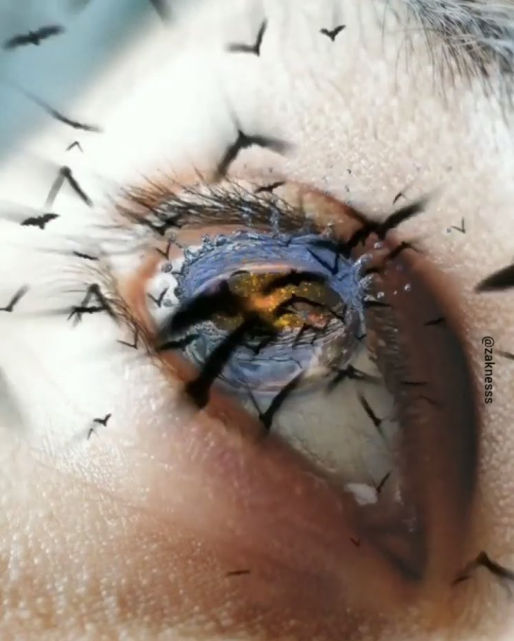 Sakr❤️❤️❤️ (@sakrboss77) on Twitter photo 