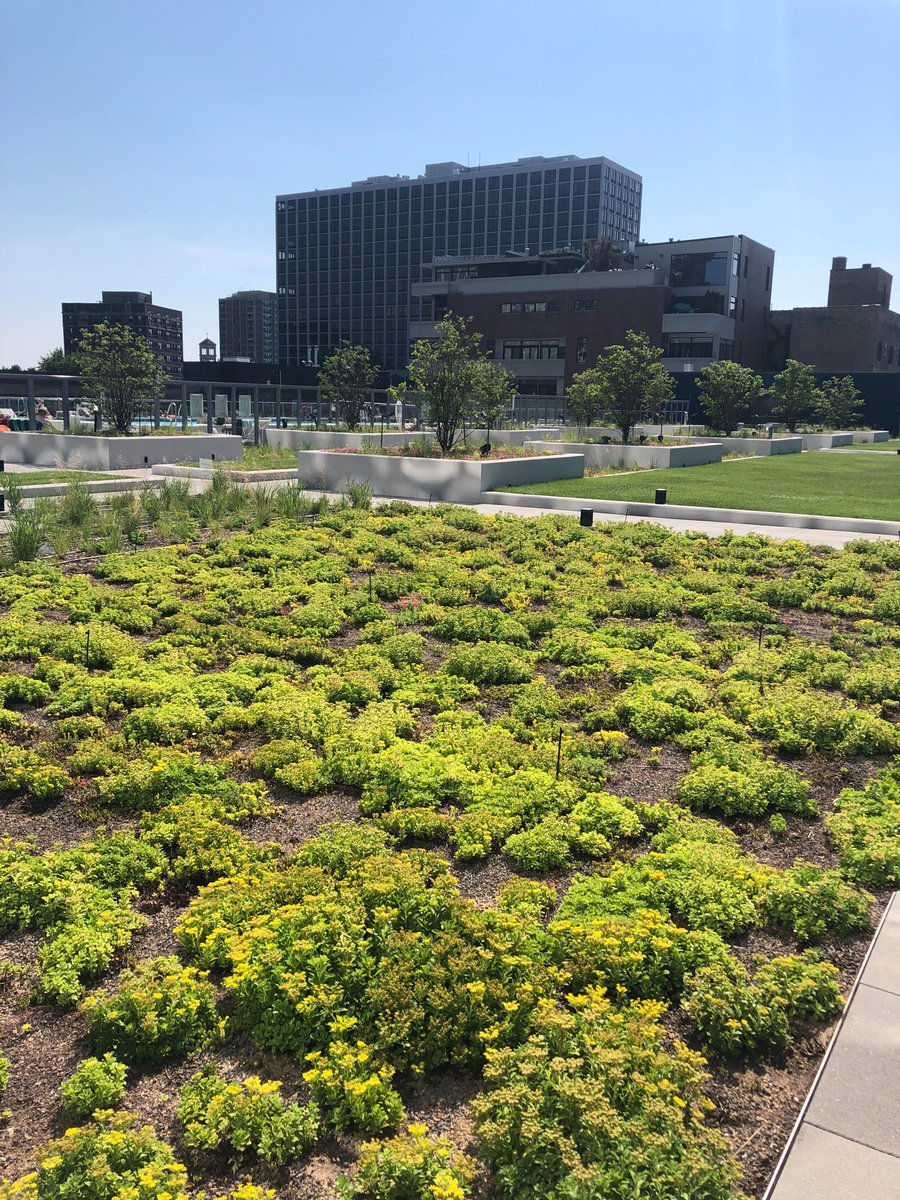 811Uptown's tweet photo. Plants are planted and our outdoor space is ready for our residents! 🌿🌼
*
#bozzutomidwest #liveituptown #homesweethome #locationlocationlocation #eightelevenuptown #uptownchicago #uptownproud #chicagoresidents #instarealestate #intsaproperty #architecture #bozzutoliving🌸💫 https://t.co/wLYGYU3vnd