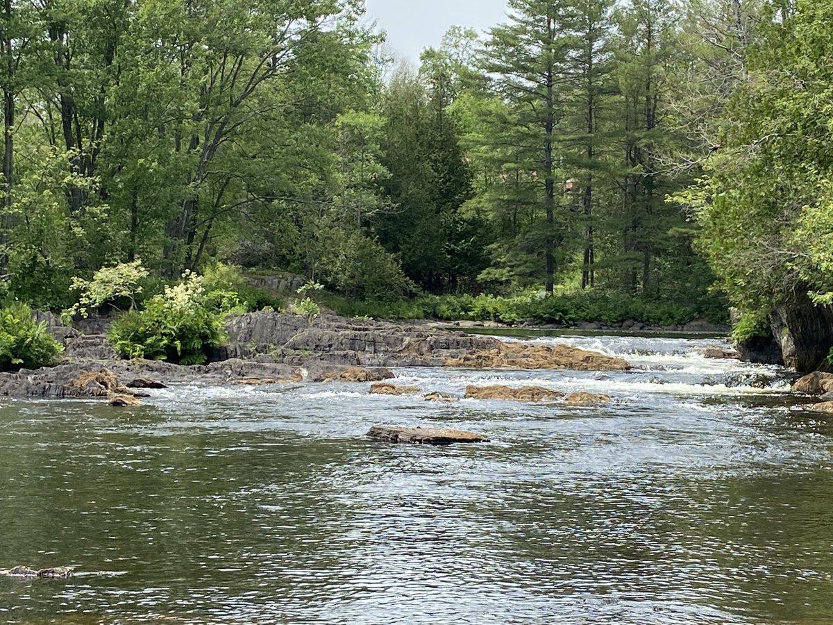 blakely_vicki's tweet photo. Spoiled by the nature that surrounds us... 5 minutes down the road and this is the view! #waterfalls #OnNature #ontario #nofilter https://t.co/MKDLKjoSJ4