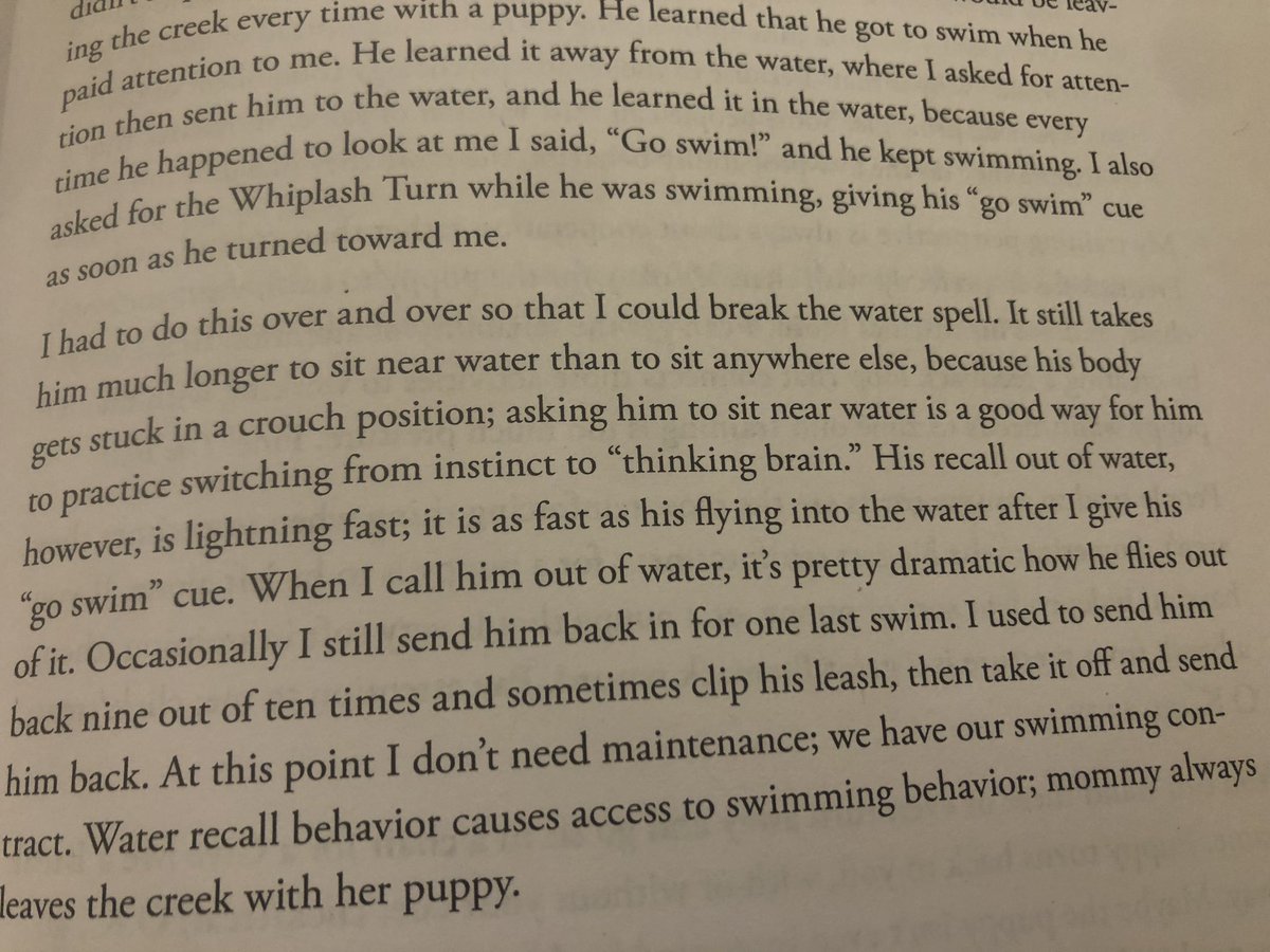 Another story about her dog getting stuck bc he had to pass through a crouching body posture.  https://twitter.com/diviacaroline/status/1279620296371089408?s=21  https://twitter.com/diviacaroline/status/1279620296371089408