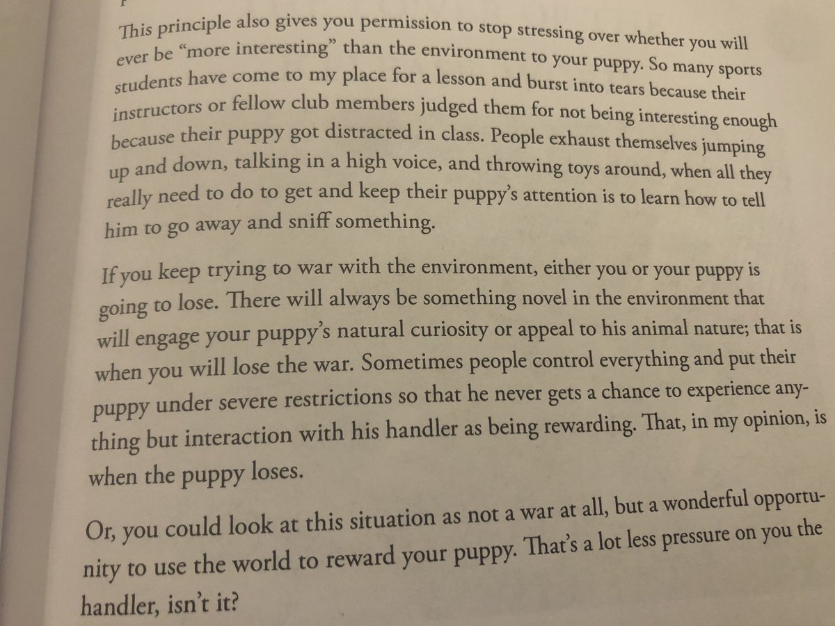 “If you keep trying to war with the environment, either you or your puppy is going to lose.”The situation is complicated and nuanced etc etc etc, but I think this sentence applies to kids too.  https://twitter.com/diviacaroline/status/1148399563771797505?s=21