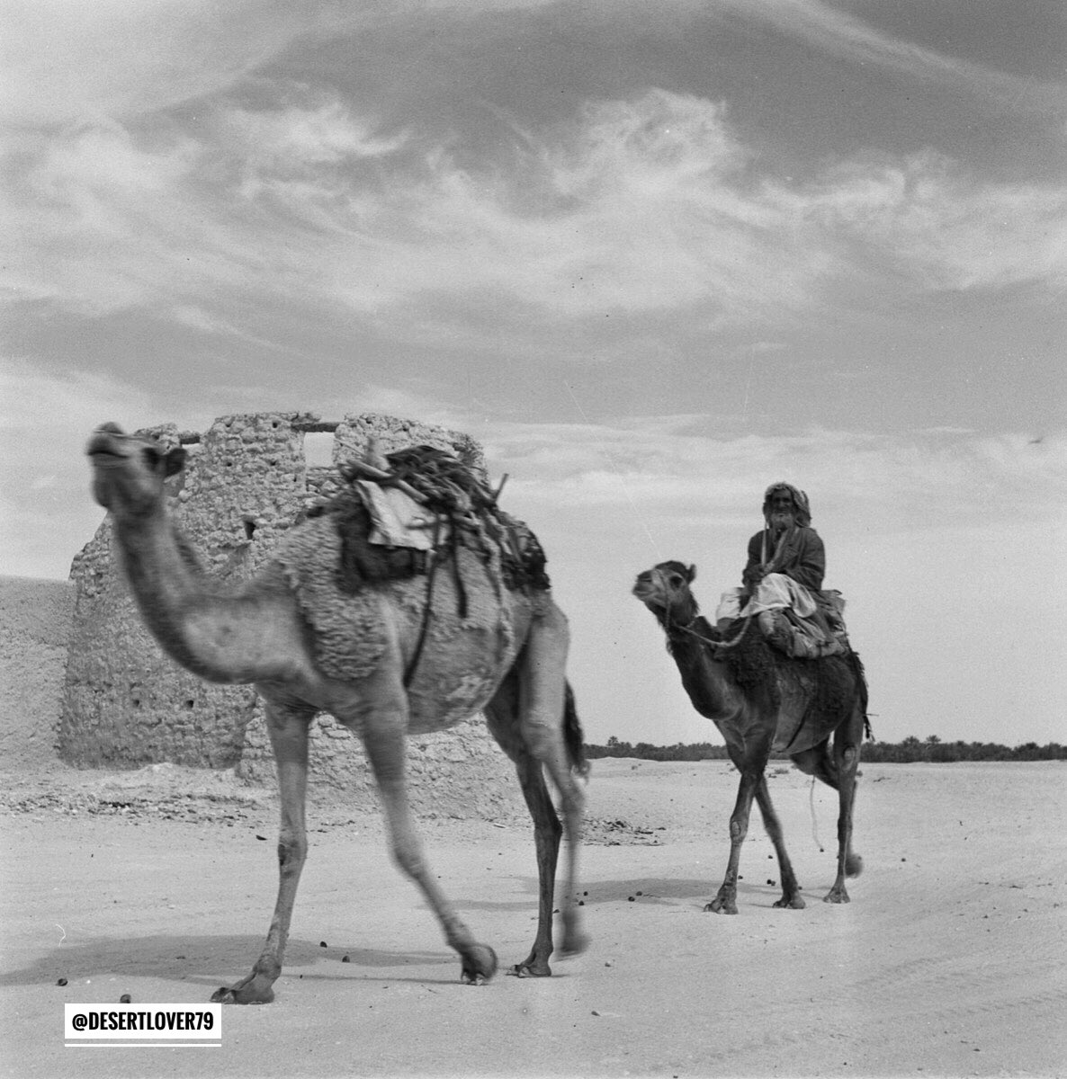 طاقات الاحساء