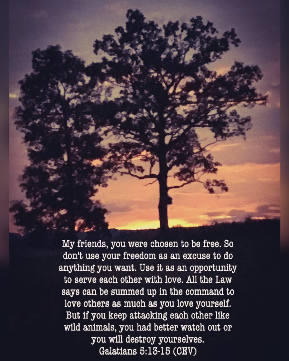 begodby's tweet photo. https://t.co/U0NCa30pt5